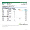 editable template, India Punjab and Sind bank statement Excel and PDF template