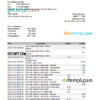 editable template, Iran Bank Sepah bank statement Excel and PDF template