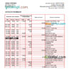 editable template, Iraq Rafidain Bank statement Excel and PDF template