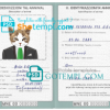 FREE editable template, Montenegro cat (animal, pet) passport PSD template, fully editable