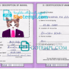 FREE editable template, Namibia cat (animal, pet) passport PSD template, fully editable