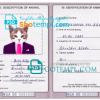 FREE editable template, Nigeria cat (animal, pet) passport PSD template, fully editable