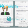 FREE editable template, North Korea cat (animal, pet) passport PSD template, fully editable