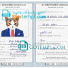 FREE editable template, Romania cat (animal, pet) passport PSD template, fully editable