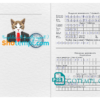 FREE editable template, Russia cat (animal, pet) passport PSD template, fully editable