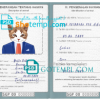 FREE editable template, Singapore cat (animal, pet) passport PSD template, fully editable