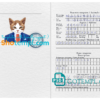 FREE editable template, Ukraine cat (animal, pet) passport PSD template, fully editable