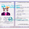 FREE editable template, United States of America cat (animal, pet) passport PSD template, fully editable