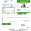 editable template, UAE Al Fanar Gas Group utility bill template in Word and PDF format
