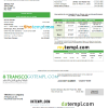editable template, UAE Abu Dhabi Transmission & Despatch Company (TRANSCO) utility bill template in Word and PDF format