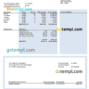 editable template, USA building company earning statement template in Word and PDF format