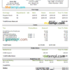 editable template, USA personal earning statement template in Word and PDF format