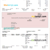 editable template, USA software company employee sheet template in Word and PDF format