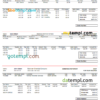 editable template, USA chemical industry earning statement template in Word and PDF format