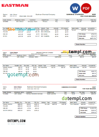 editable template, USA chemical industry earning statement template in Word and PDF format