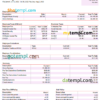 editable template, USA clothing company earning statement template in Word and PDF format