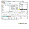 editable template, USA Texas commercial company earnings statement template in Word and PDF format
