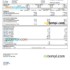 editable template, USA educational earning statement template in Word and PDF format
