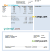 editable template, USA financial company earning statement template in Word and PDF format, version 2