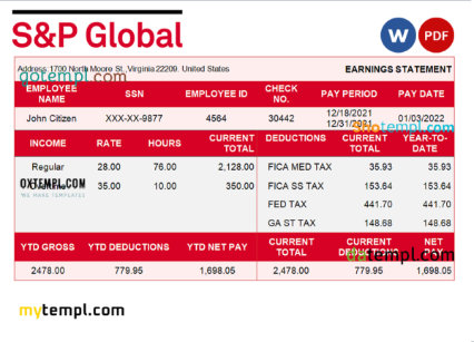 editable template, USA financial company earning statement template in Word and PDF format