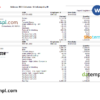 editable template, USA pharmaceutical company earnings statement template in Word and PDF format