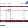 editable template, USA insurance company earning statement template in Word and PDF format