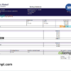 editable template, USA insurance company earning statement template in Word and PDF format, version 2
