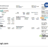 editable template, USA IT technologies company earning statement template in Word and PDF format
