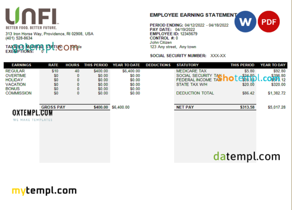 editable template, USA retail company earning statement template in Word and PDF format