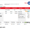 editable template, USA retail company earning statement template in Word and PDF format, version 3