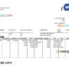 editable template, USA software technologies company employee sheet template in Word and PDF format