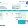 editable template, USA Texas commercial cleaning company earnings statement template in Word and PDF format