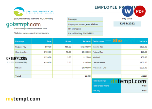 editable template, USA Texas commercial cleaning company earnings statement template in Word and PDF format