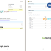 editable template, Ireland Microsoft Ireland Operations Limited invoice Word and PDF template, 2 pages