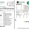 editable template, USA Woodforest bank statement Excel and PDF template, 3 pages