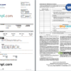 editable template, USA Nevada State Bank business checking statement, Word and PDF template, 4 pages