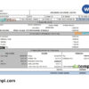 editable template, USA Brookson solutions limited payslip Word and PDF template