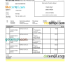 editable template, Bulgaria Raiffeisen bank statement, Word and PDF template