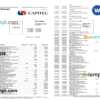 editable template, South Africa Capitec bank savings account statement, Word and PDF template, 4 pages
