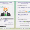 FREE editable template, Eswatini (Swaziland) dog (animal, pet) passport PSD template, fully editable