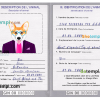FREE editable template, Guinea dog (animal, pet) passport PSD template, fully editable