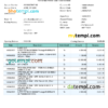 editable template, India Fincare bank account statement, Word and PDF template