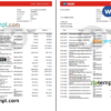editable template, India Kotak Mahindra bank statement Word and PDF template, 7 pages