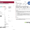editable template, India Punjab National Bank statement Word and PDF template, 2 pages