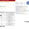 editable template, India Punjab National Bank statement Word and PDF template, 2 pages, version 2