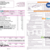 editable template, India Indian bank credit card statement, Word and PDF template, 2 pages