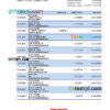 editable template, Israel Hapoalim bank statement Excel and PDF template