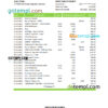 editable template, Jamaica Sagicor bank statement Excel and PDF template