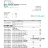 editable template, Japan Chiba bank statement Excel and PDF template