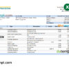 editable template, Kyrgyzstan Commercial bank statement Excel and PDF template